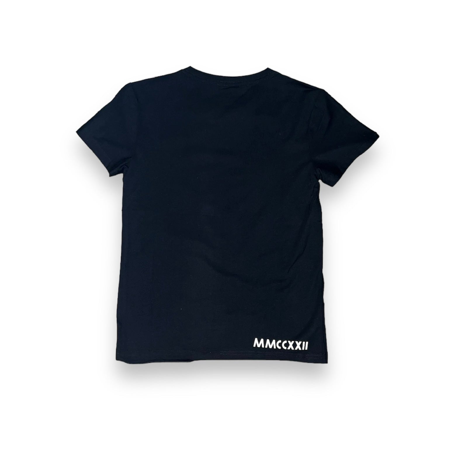 Veni Vici black Roman graphic T-shirt alternate view