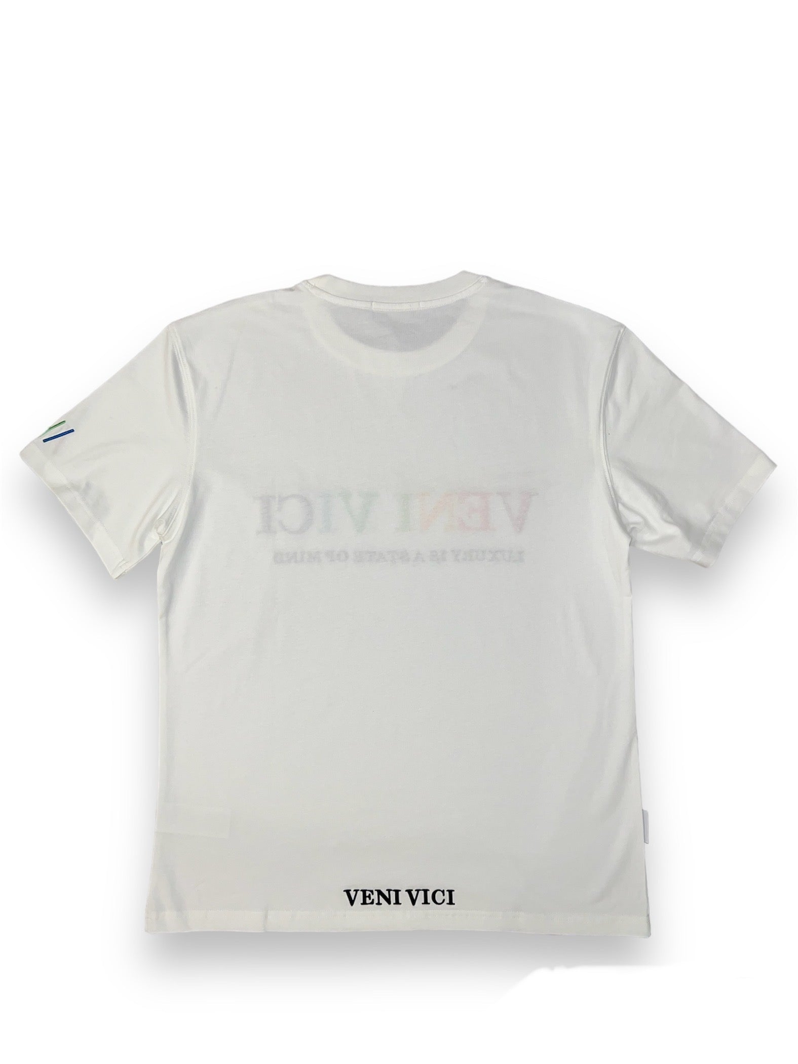 Veni Vici Four Founders oversized T-shirt alternate product view