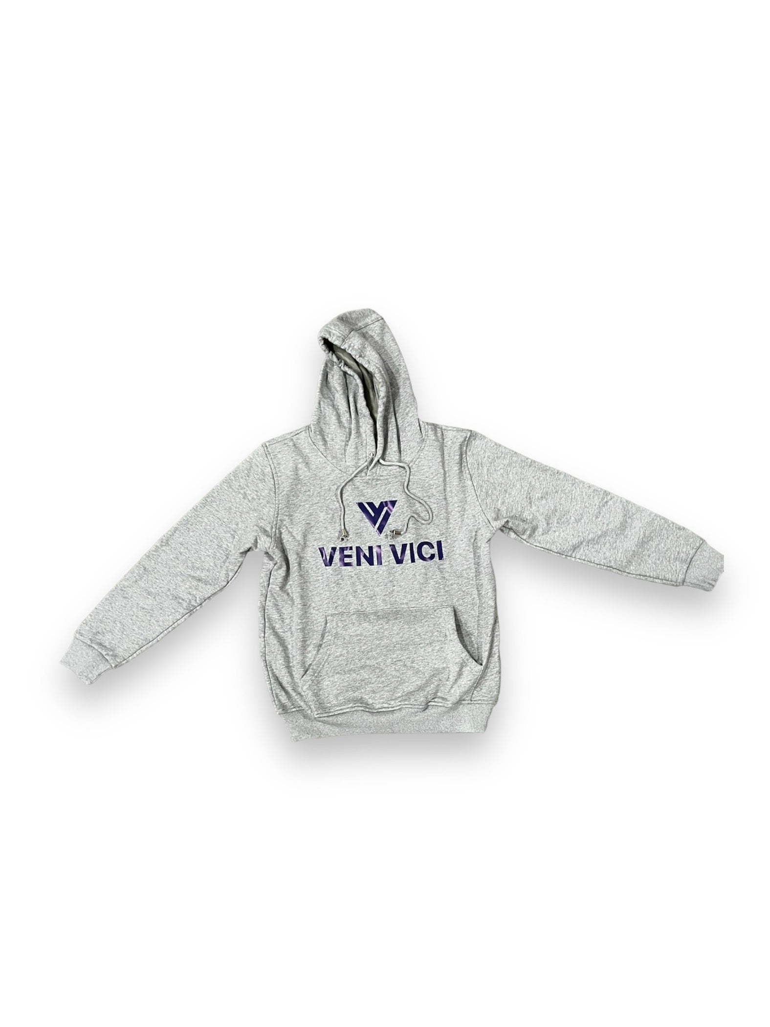 Veni Vici grey logo velvet-lined hoodie product photo